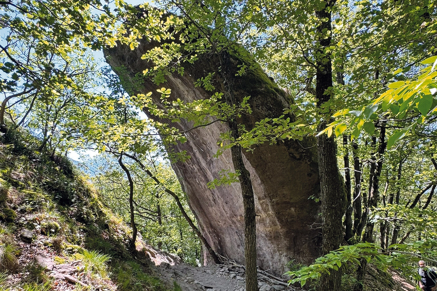 Von Drachen, Rosszähnen und warmen Löchern