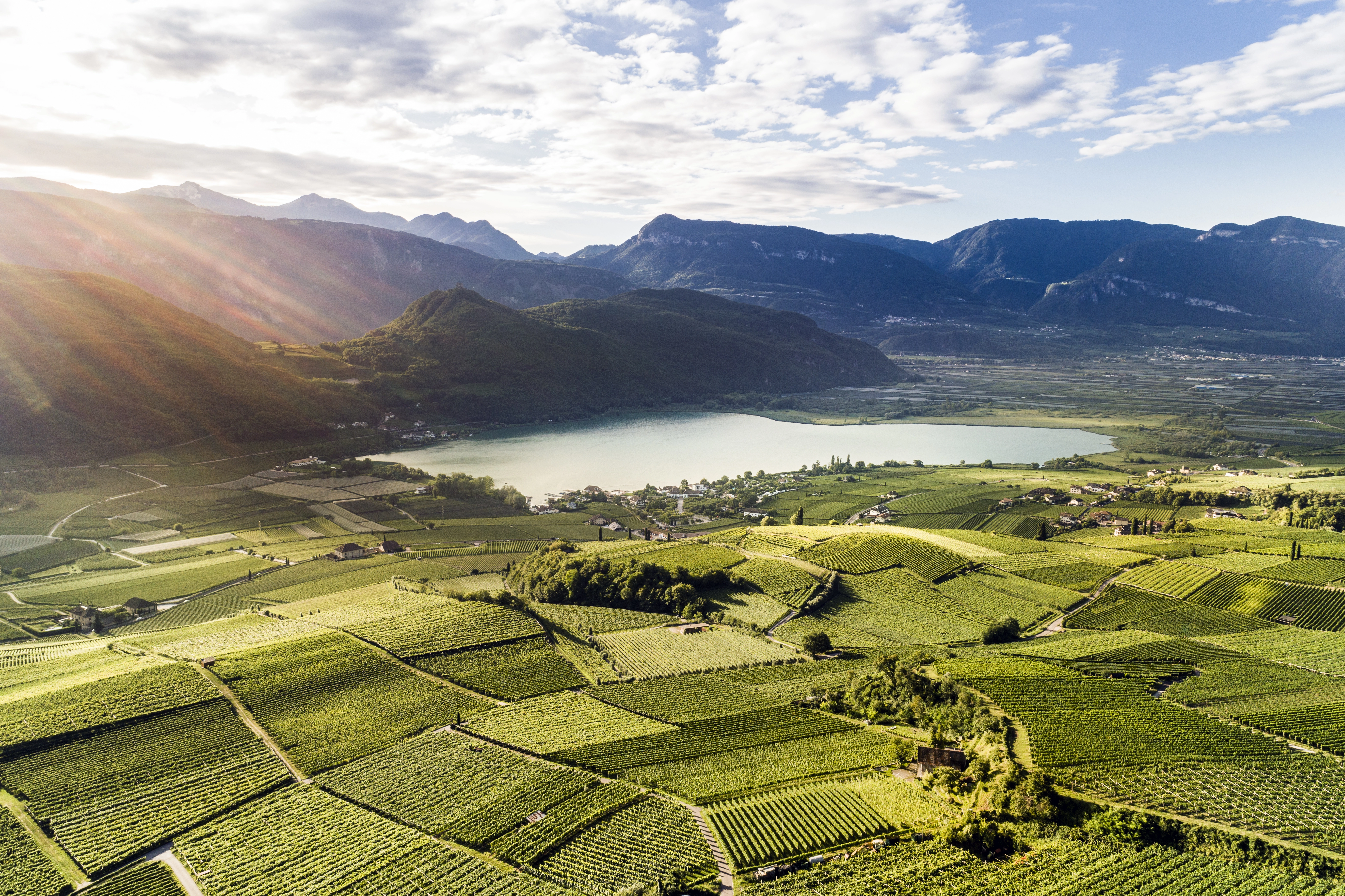 Una delle strade del vino più belle d’Europa